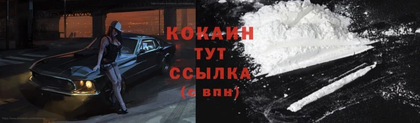 mdpv Новозыбков