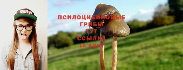 mdpv Новозыбков