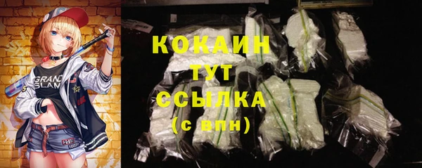 mdpv Новозыбков