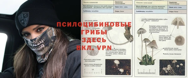 винт Новодвинск